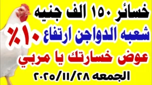 السعر مستقر.. بورصة الدواجن اليوم أسعار الفراخ البيضاء في مصر الجمعة 28 نوفمبر 2025